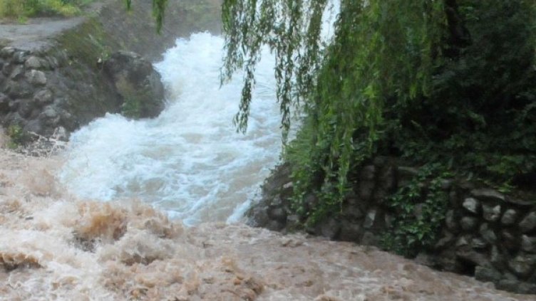 Архив: Булфото