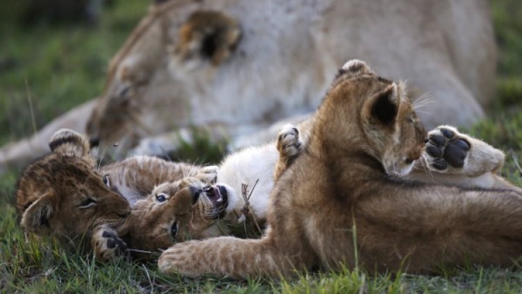 Снимка: Reuters