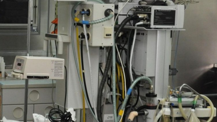 Снимка: архив, БулФото