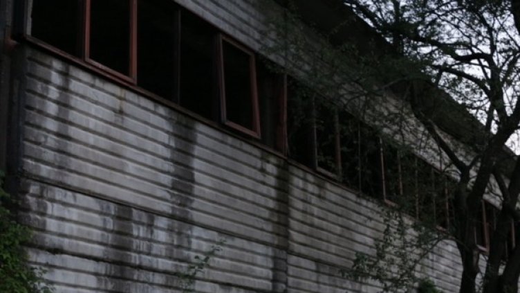 Снимка: архив, БТА