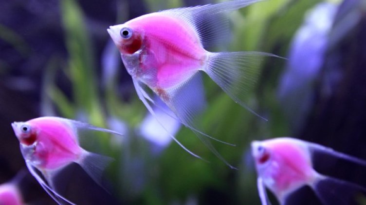 Снимка: Архив Reuters