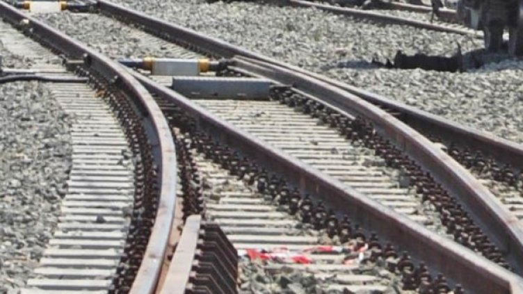 Архив: Булфото