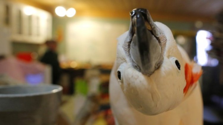 Снимка: Reuters