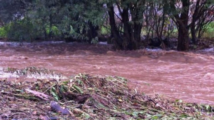 Архив: Булфото