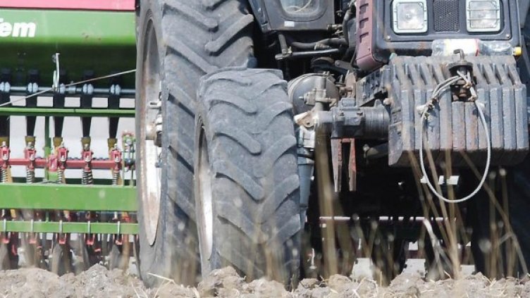 Снимка: архив, БулФото