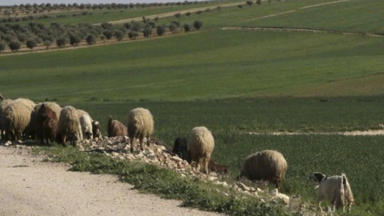 Снимка: Ройтерс