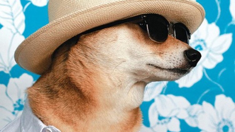 Снимка: Menswear Dog/Tumblr