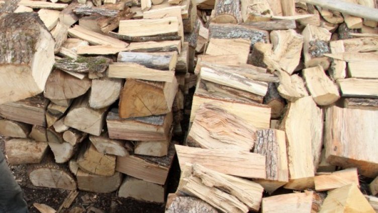 Снимка: Impact Press Group