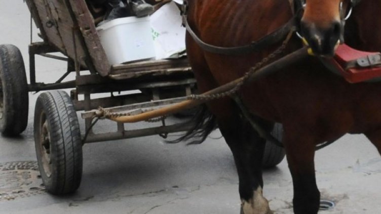 Снимка: архив, БулФото