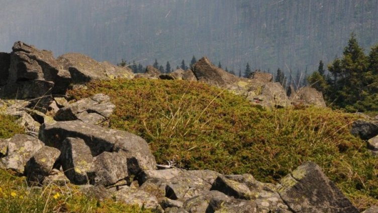 Снимка: архив, Булфото