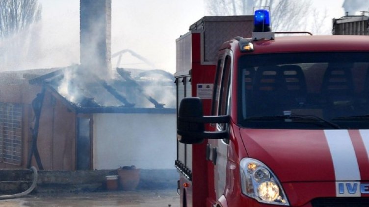 Архив: Булфото