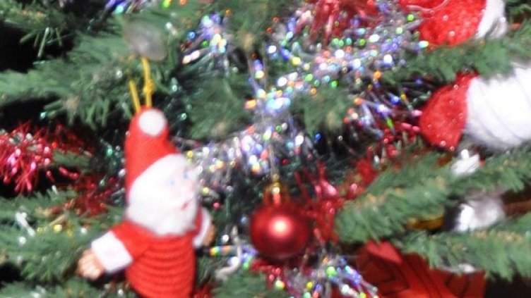 Архив: Булфото