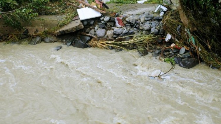 Архив: Булфото