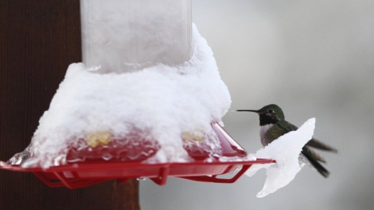 Снимка: Reuters