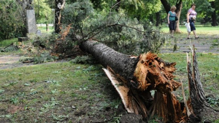 Снимка: Булфото, архив