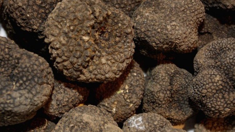 Снимка: архив, БулФото