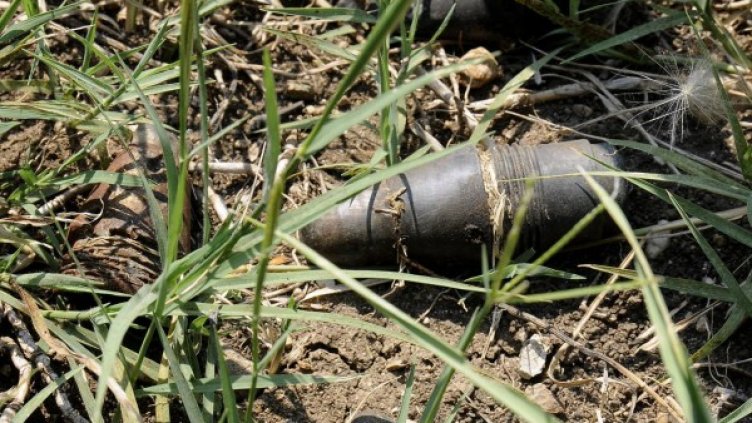 Снимка: Булфото, архив