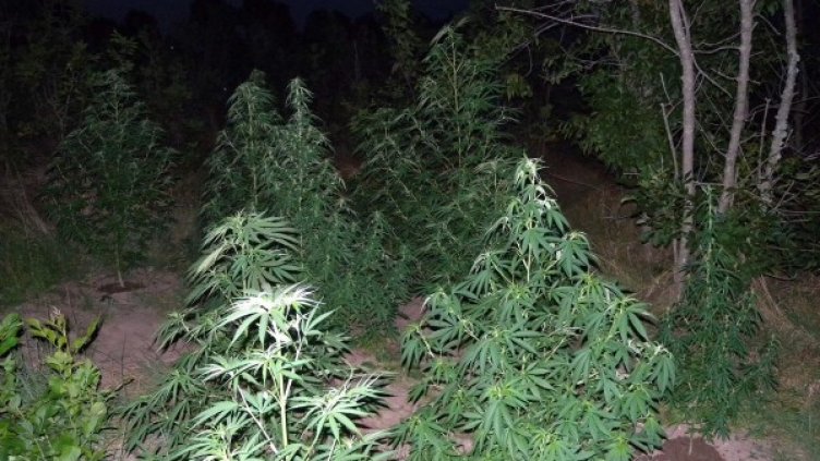 Снимка: Булфото, архив