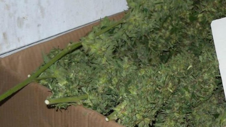 Снимка: Булфото, архив