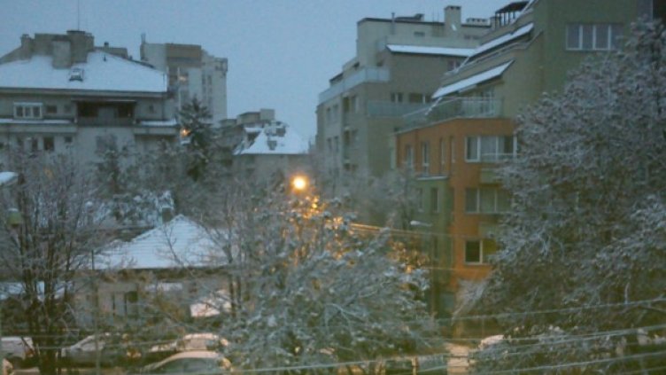 Снимка: Dnes.bg