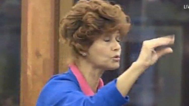 Снимка: VIP Brother