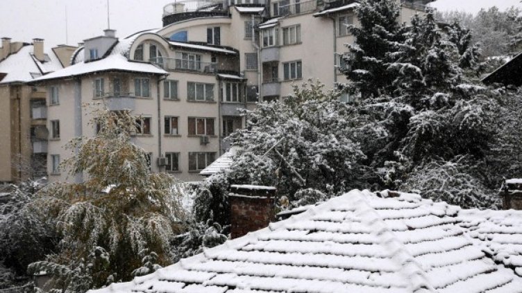 Снимка: Булфото