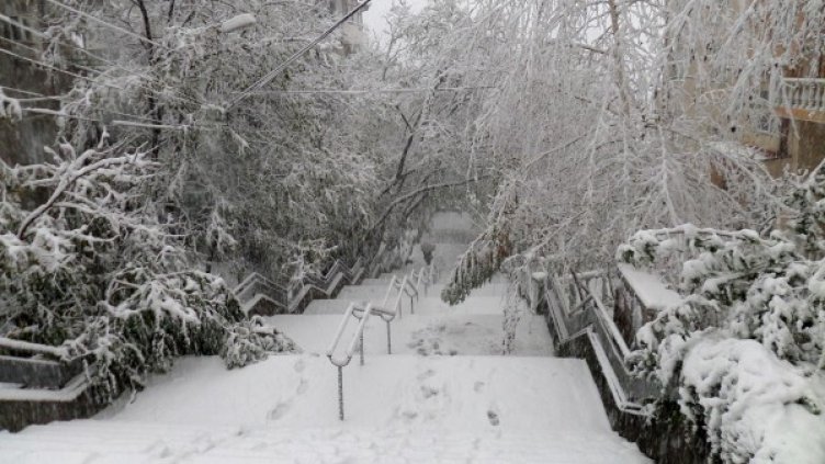 Снимка: Булфото