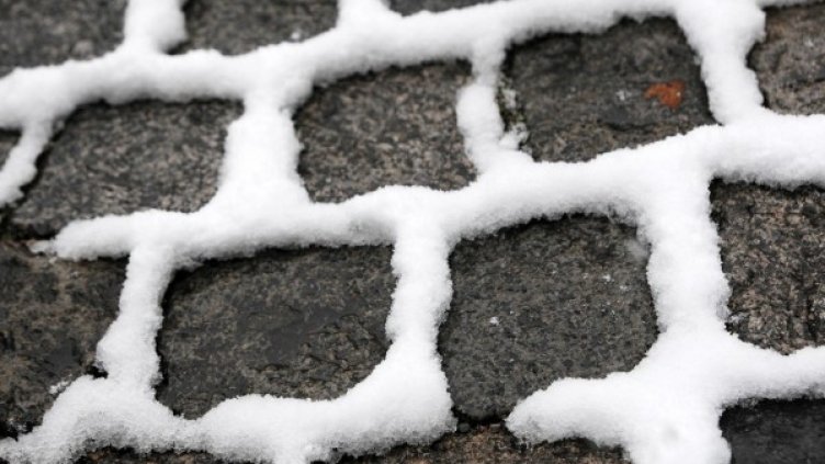 Снимка: Булфото