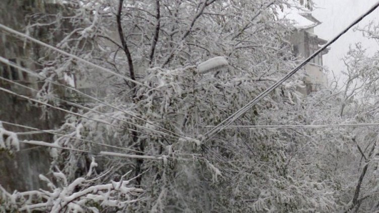 Архив: Булфото