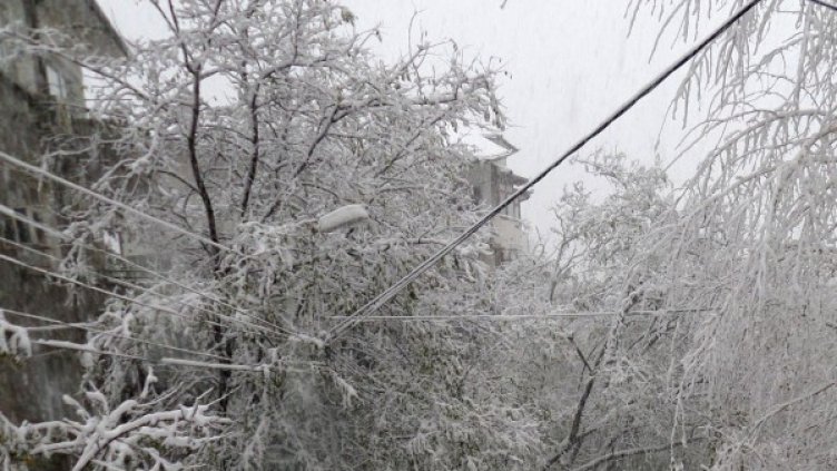 Снимка, архив Булфото