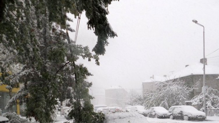 Архив: Булфото