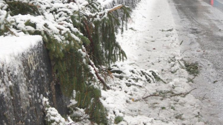 Снимка: архив, БТА