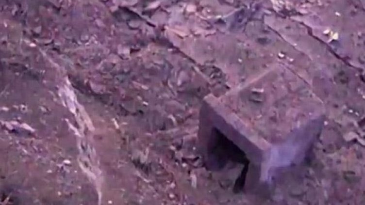 Снимка: МВР