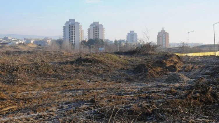 Снимка: архив, Булфото