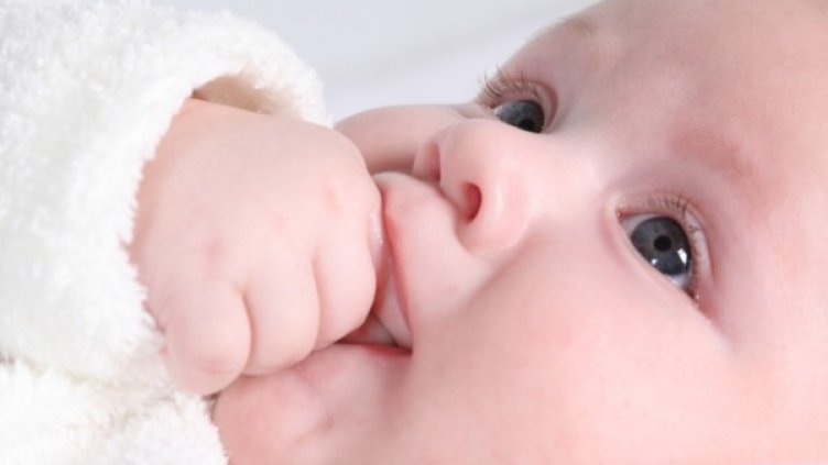 Снимка: photl.com