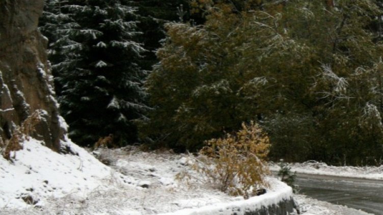 Снимка: Архив БТА