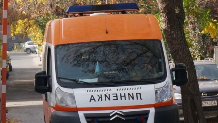 Снимка: архив, Булфото