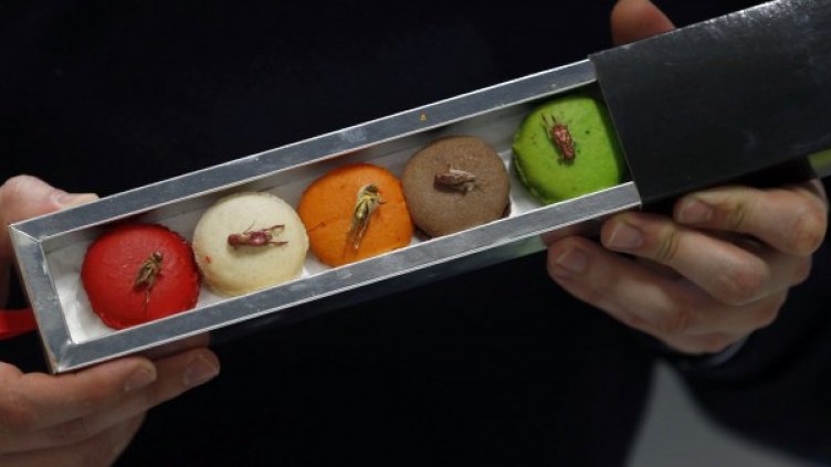 Снимка: Reuters, архив