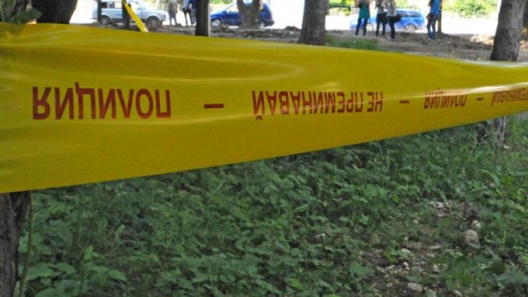 Снимка: архив Булфото