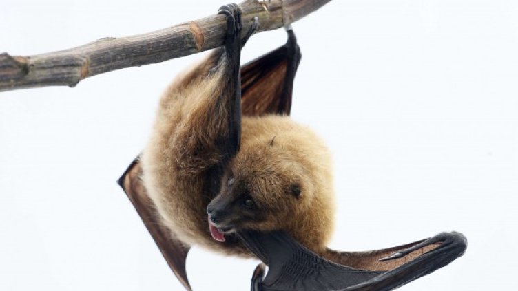 Снимка: Архив Reuters