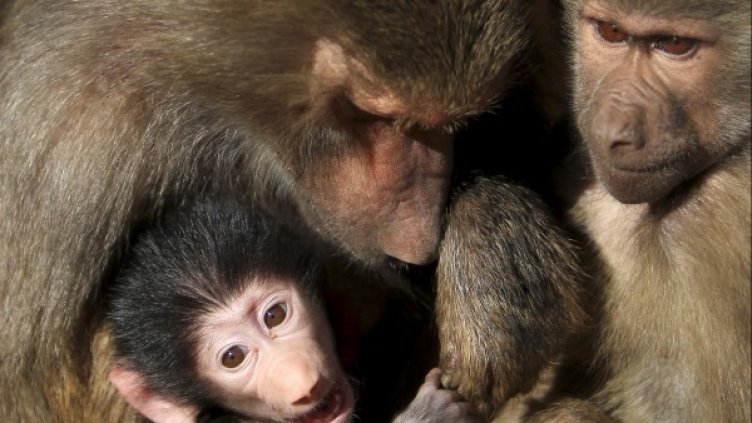 Снимка: Архив Reuters