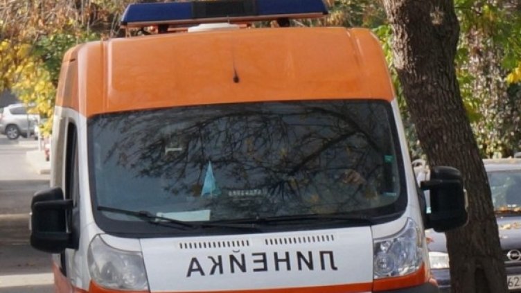 Снимка: архив, Булфото