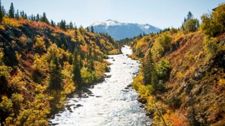 Снимка: Facebook