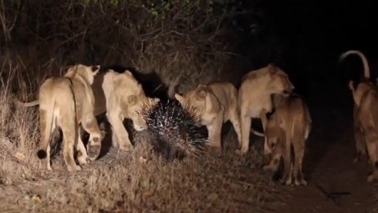 Снимка: YouTube