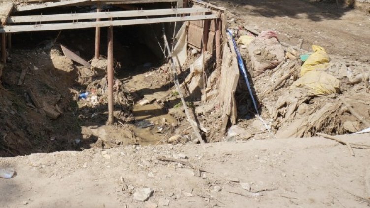 Архив: Булфото