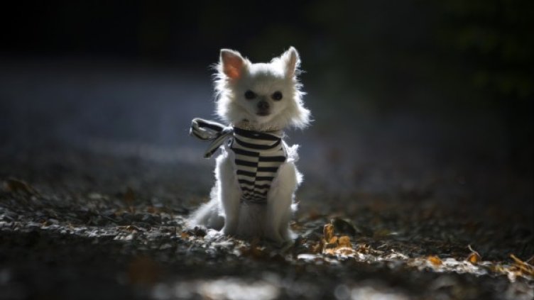 Снимка: Reuters, архив