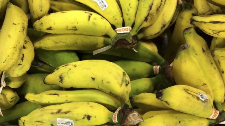 Снимка: Reuters, архив