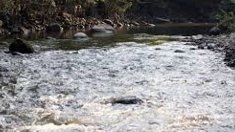 Снимка: архив