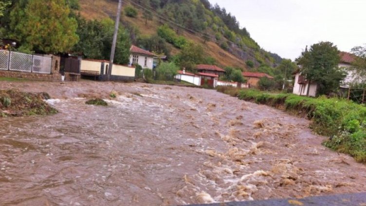Снимка: Булфото, архив