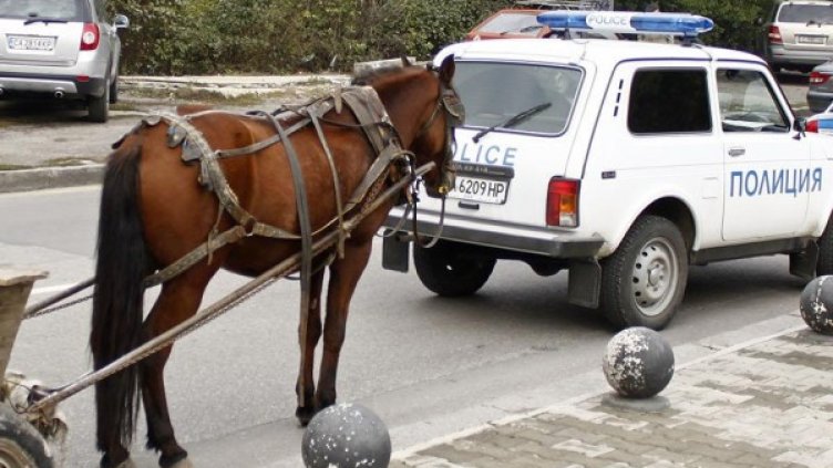 Снимка: Булфото, архив